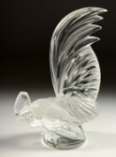 A GOOD LALIQUE COCKEREL Signed, Lalique, France.