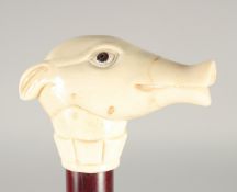 A CARVED BONE HANDLE WALKING STICK, 'PIG'. 3ft long.