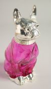 A SILVER PLATED AND CRANBERRY GLASS DOG CLARET JUG. 6ins high.