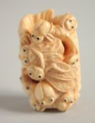 A CARVED BONE BUG NETSUKE. Signed, 1.75ins.