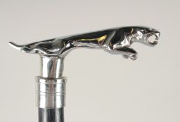 A CHROME JAGUAR HANDLE WALKING STICK 3ft long.