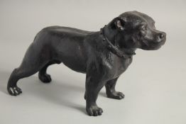 A GOOD BRONZE BULLDOG. 13ins long.