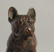 A BRONZE BULLDOG