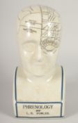 A PORCELAIN PHRENOLOGY HEAD. 11ins high.