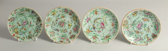 FOUR SMALL CHINESE FAMILLE ROSE DISHES, each painted with birds and flora, each 18cm diameter, (4).