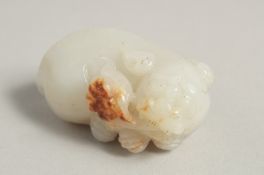 A CHINESE CARVED JADE FOO DOG, 5.5cm long.