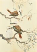 Robin Hill (b. 1932) Australian, 'Kookaburras', a group of three birds, watercolour and gouache,