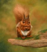 Carl Andrew Whitfield (b. 1953) British, 'Red Squirrel', a red squirrel clasping a nut, oil on