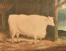 William Ward (1766-1826) after George Garrard, 'The Durham White Ox', mezzotint, published 1813,