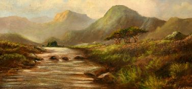 F. Walters, late 19th Century, a highland river, oil on canvas, signed, 8