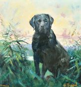 Arthur Karel Maderson (20th Century), 'Charlie after Evening Dip', a flat-coated retriever, oil on