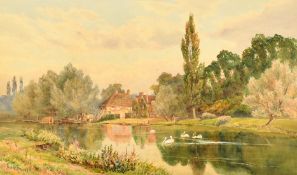 Albert George Stevens (1863-1927) British, swans gathered mid-river with a cottage beyond,