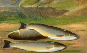 Robert Harrington (1805-1884) British, a scene of three brown trout, oil on board, signed, 7.25