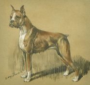 Lucy Dawson (1875-1954) British, a charcoal and chalk study of a standing dog, signed, 13.5