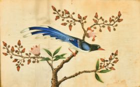 A set of six Chinese Rice paper paintings of birds, each 7
