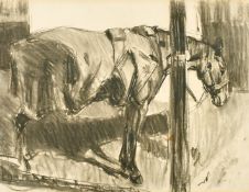 Attributed to Lucy Kemp-Welch (1869-1958) British, a study of a horse in a stable, charcoal, 17