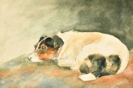 English School (Early 20th Century), a study of a resting Jack Russell, watercolour, 5.75