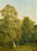 Circle of James Stark Study of trees by a clearing, oil on panel, 20.75