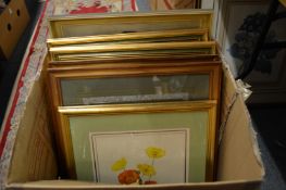 Various botanical and other prints.