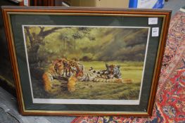A group of colour prints depicting tigers.