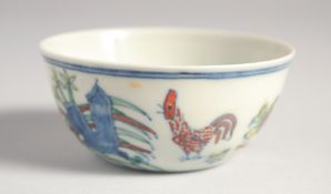 A CHINESE DOUCAI PORCELAIN CUP, painted with chickens, 8cm diameter.