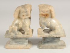 A PAIR OF CARVED SEATED TEMPLE LIONS. 7