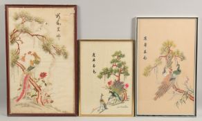 THREE 20TH CENTURY CHINESE EMBROIDERED SILK PANELS, each depicting peacocks and inscribed, framed