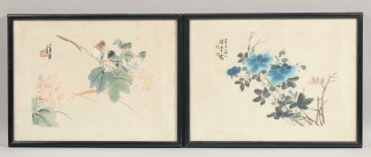 TWO CHINESE PAINTINGS ON PAPER, one depicting birds on a branch, the other with flowers, each