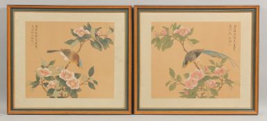 A PAIR OF CHINESE PAINTINGS ON SILK, each depicting a bird on a floral branch, inscribed and with