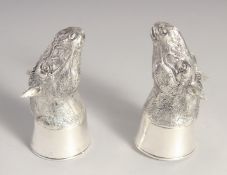 A PAIR OF SILVER PLATED HORSE'S HEAD SALT AND PEPPERS.