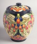 MOORCRFT PURIRI TREE DESIGN JAR AND COVER, dated 2004. Printed Moorcroft, in blue. P. G. in blue.