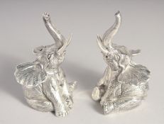 A PAIR OF SILVER PLATED ELEPHANT SALT AND PEPPERS.