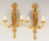 A PAIR OF GILT BRONZE TWO LIGHT WALL SCONCES. 16ins long.