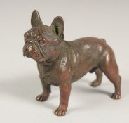 A BRONZE BULLDOG. 3.5ins long.