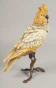 A SMALL VIENNA BRONZE PARROT. 11ins high.