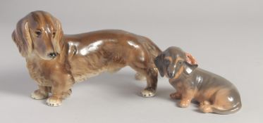 A ROYAL BELVEDERE DACHSHUND, 9ins long (A/F) and a ROYAL COPENHAGEN DACHSHUND, No. 3140. 4ins