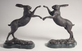 A PAIR OF BRONZE FIGHTING HARES on shaped marble bases. 11.5ins high.