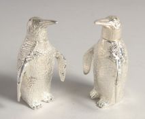 A SMALL PAIR OF SILVER PLATED PENGUIN SALT AND PEPPERS.