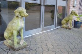 A good pair of composite garden ornaments modelled as seated dogs.