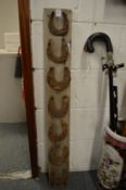 An early iron horseshoes mounted on a wooden board together with large unmounted horseshoes.