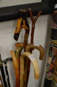 Various walking sticks.