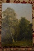 A study of trees by a clearing, oil on panel, unframed.