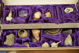 A small collection of shells and crystals etc.
