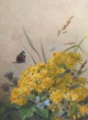 Early 20th Century School, a scene of butterflies around wildflowers, oil on board, indistinctly