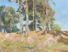 Barry Peckham (20th Century), 'Pines', A landscape with Pine trees on a hill, pastel, signed and