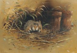 Chris Howells (20th Century) A dormouse, oil on canvas, signed and dated 1981 and verso, 10