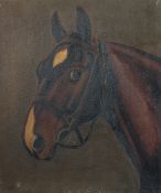 Continental School, A head portrait horse, oil on canvas, 16.75