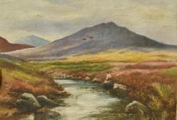Early 20th Century, A scene of an angler on a moorland river with hills beyond, oil on board, 8