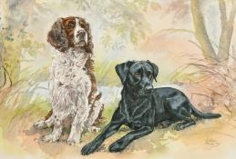 Gillian Harris (Late 20th Century) A Springer Spaniel and Labrador seated in a landscape,