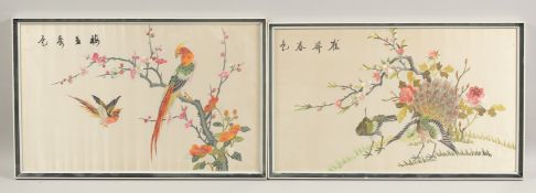 A PAIR OF 20TH CENTURY CHINESE EMBROIDERED SILK PANELS, depicting birds and flora, framed and